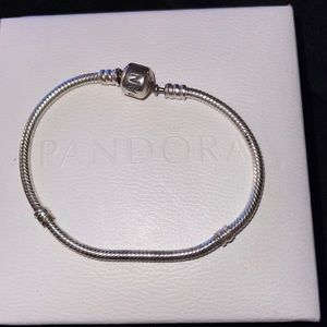 Pandora charm bracelet